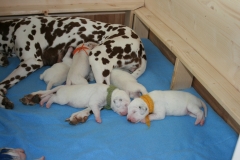 IMG_0056