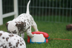 IMG_3054